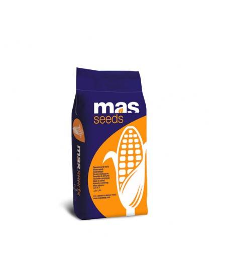 Гібрид кукурудзи МАС 24.Ц (MAS 24.C)